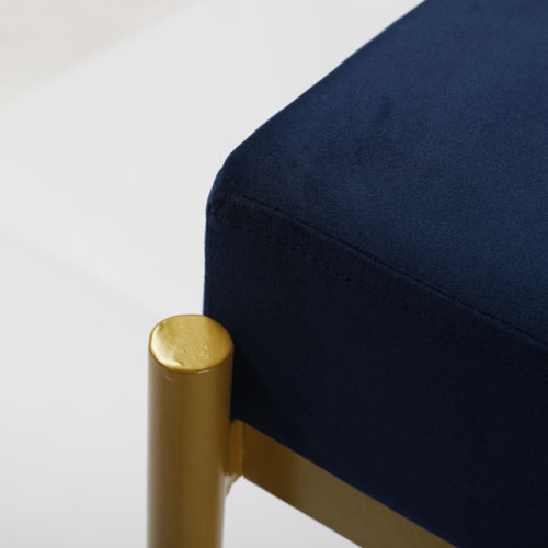 Willa Arlo Interiors Eudora Velvet Upholstered Storage Bench & Reviews